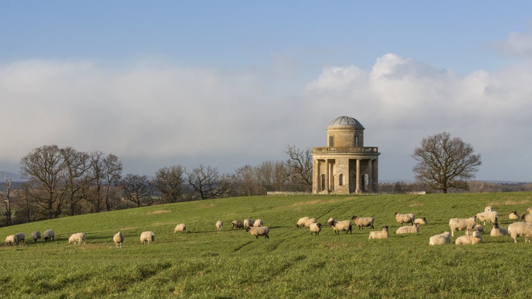 Blue skies and light white clouds with the Panorama Tower in the background. Lambs are grazing in the green fields in front.